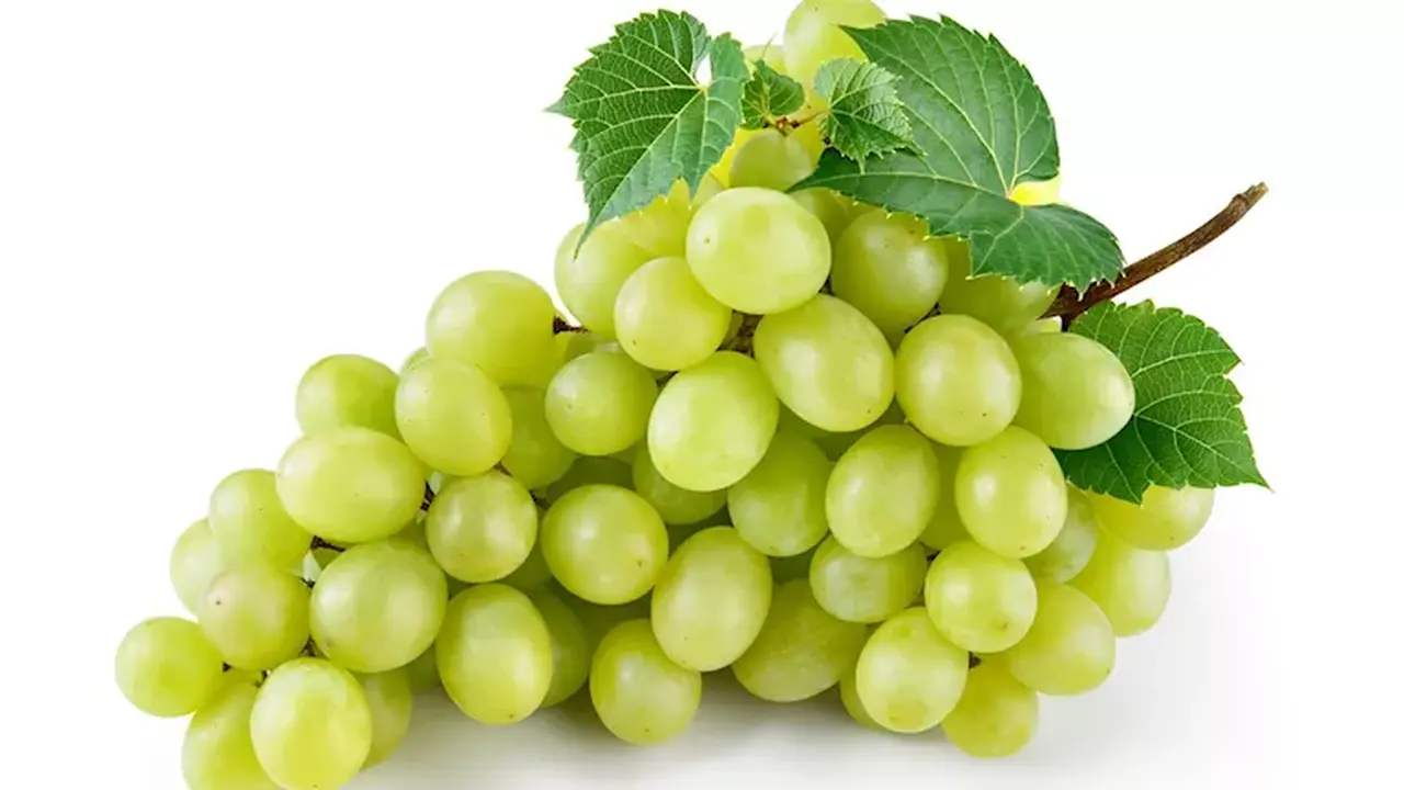 130 جنيها لكيلو العنب في الأسواق وشعبة الخضروات تكشف أسباب القفزة السعرية